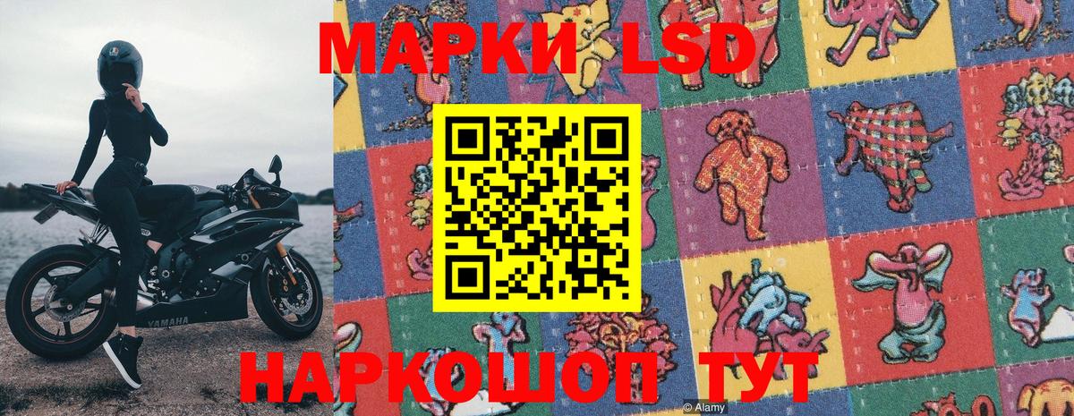Марки N-bome  Вход с VPN  Губкинский  Наркотические марки 1500мкг  Наркотические марки 1500мкг 